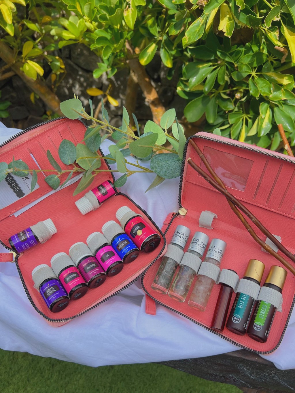 Cómo Almacenar tus Tesoros de Bienestar: Aceites Esenciales