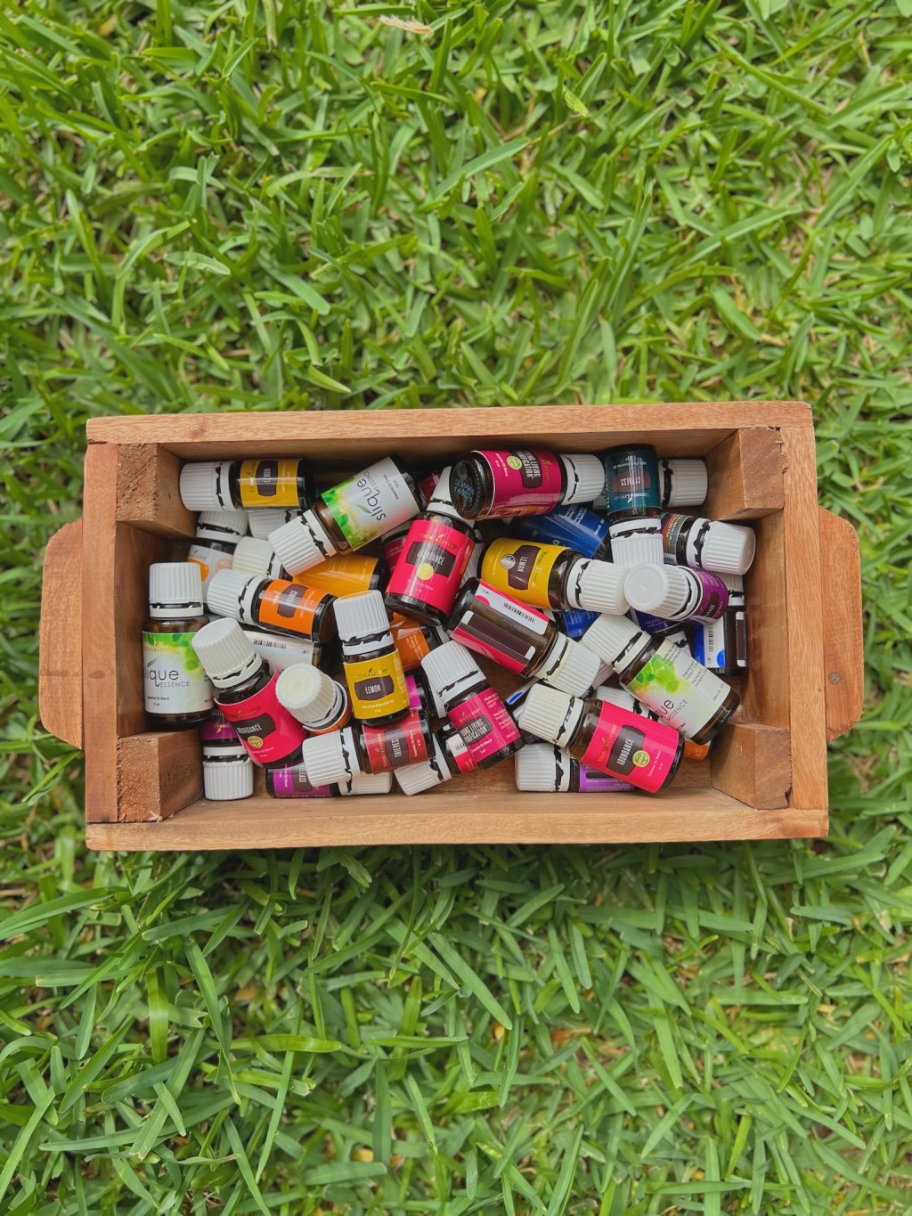 La Frecuencia Electromagnética de los Aceites Esenciales: La Energía Curativa de la&nbsp;Naturaleza