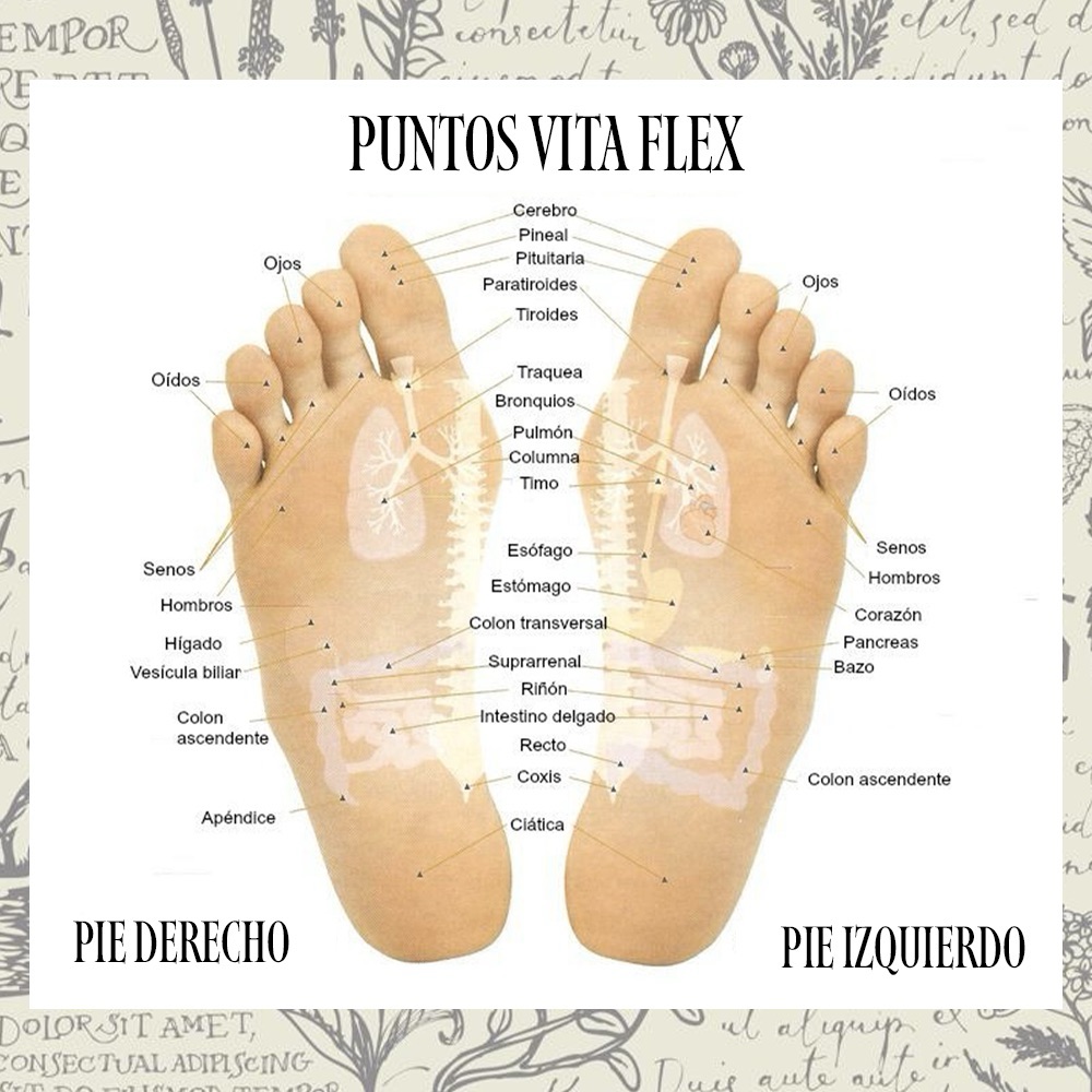 Pies Felices, Cuerpo Feliz: Cuidando Nuestra Base de&nbsp;Bienestar