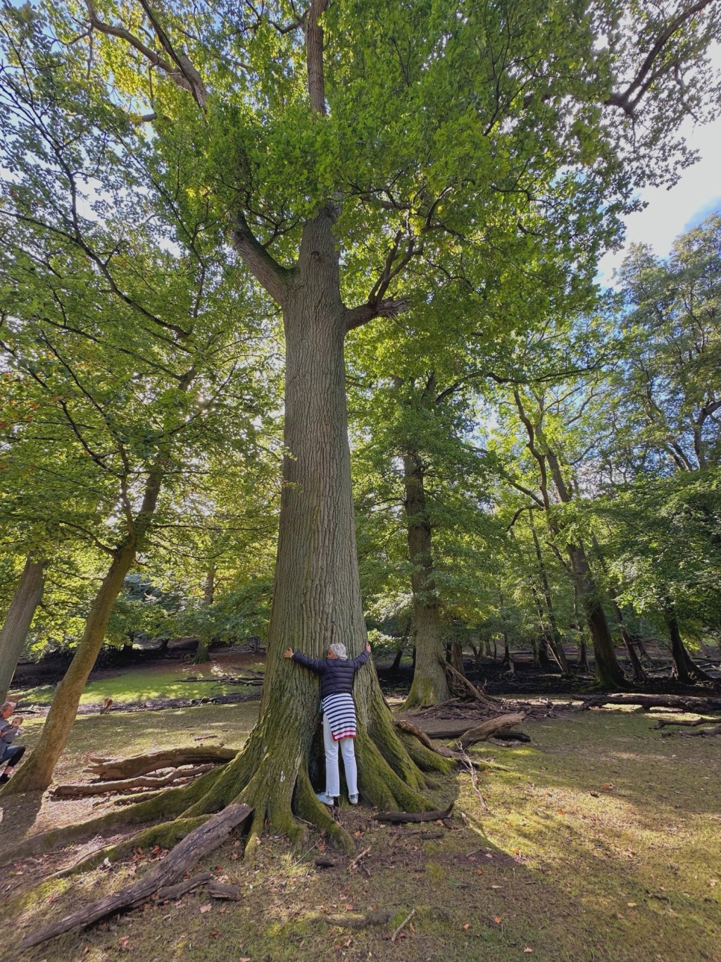 Adiós a los Perfumes Convencionales, Hola a los Roll-ons Naturales: Mi Viaje hacia una Vida más&nbsp;Consciente