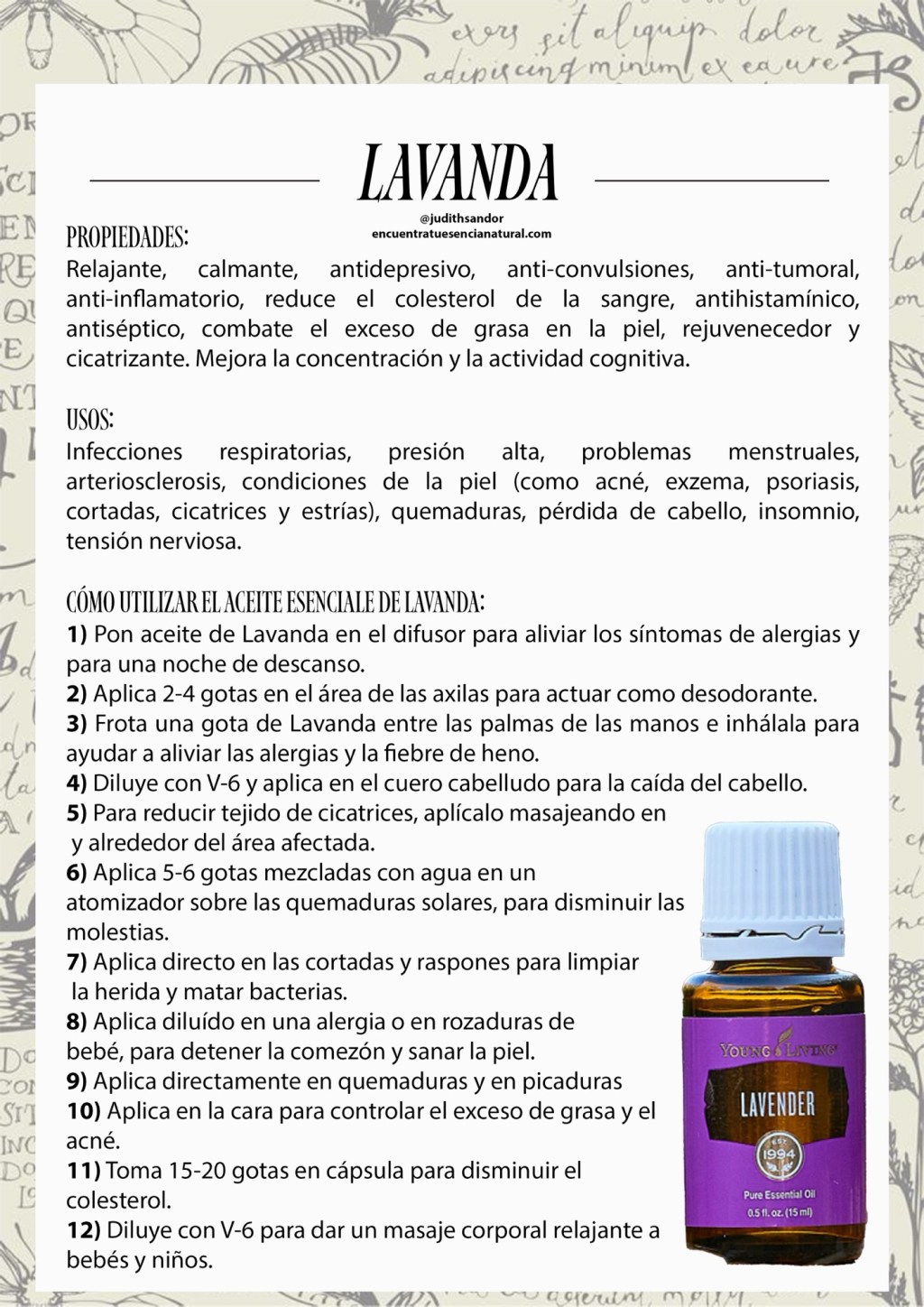 Lavanda: El Aceite Esencial para Calmar y&nbsp;Equilibrar