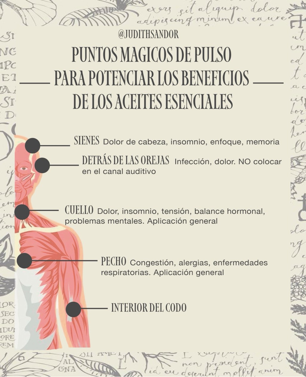Descubre los Puntos Mágicos: Dónde Aplicar los Aceites Esenciales para Potenciar sus&nbsp;Beneficios